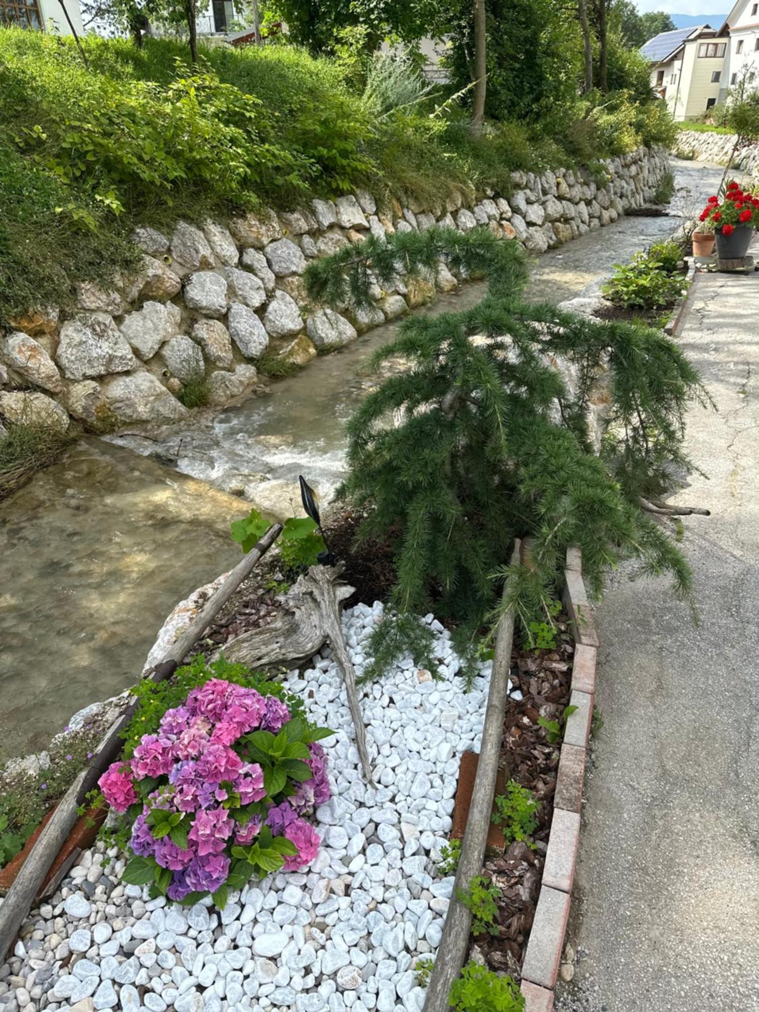 Hisa Sreco Daire Begunje na Gorenjskem Dış mekan fotoğraf